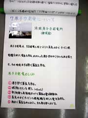 NO.11