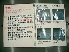 NO.5