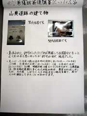 NO.8