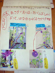 NO.5