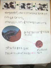 NO.4