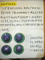 NO.5