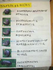 NO.6