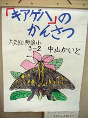 NO.1