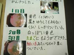 NO.3