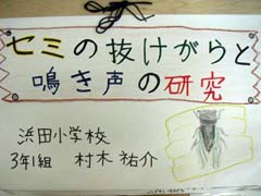 NO.1
