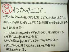 NO.5