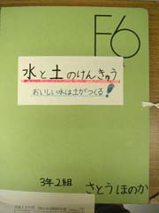 NO.1