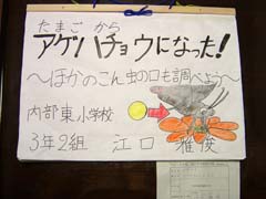 NO.1