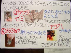 NO.5