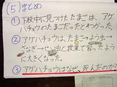 NO.6