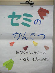 NO.1