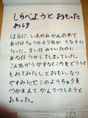NO.2