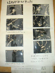 NO.4