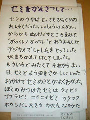 NO.5
