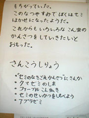 NO.6