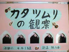 NO.1