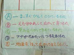 NO.10