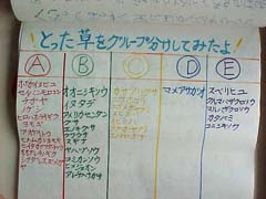 NO.9