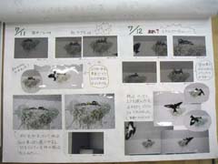 NO.3