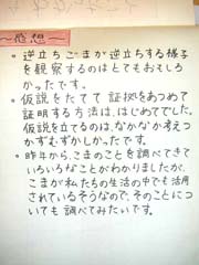NO.7