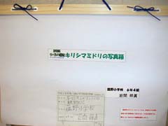 NO.1