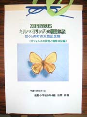 NO.3