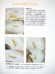 NO.5