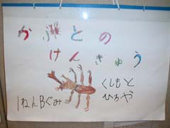 NO.1