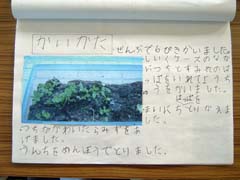 NO.2