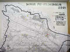NO.4