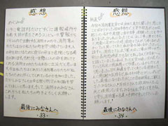 NO.6