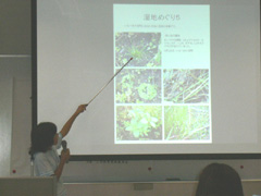 NO.6
