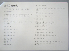 NO.1