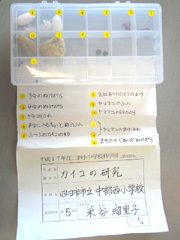 NO.5