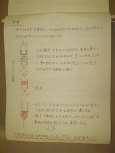 NO.5
