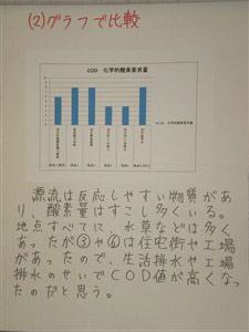 NO.4