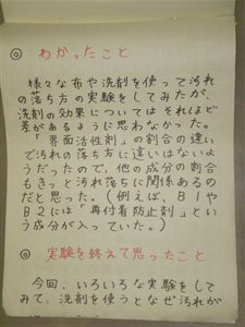 NO.5