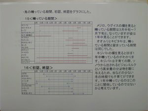 NO.4
