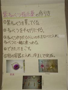 NO.2