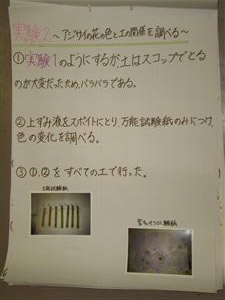 NO.4