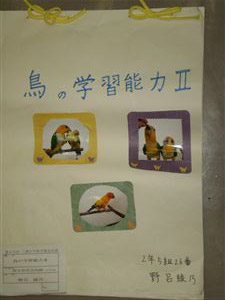NO.1