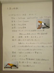 NO.2