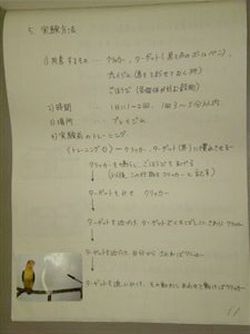 NO.4