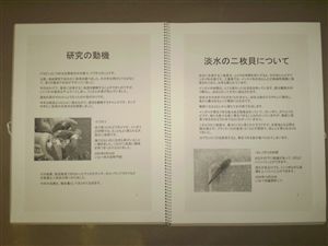 NO.3