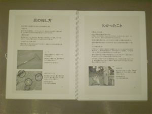 NO.5