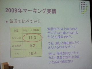 NO.4